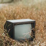Η ΤΗΛΕΟΡΑΣΗ ΣΥΝΕΧΙΖΕΙ ΝΑ ΚΥΡΙΑΡΧΕΙ ΠΑΡΑ ΤΗΝ ΘΕΑΜΑΤΙΚΗ ΕΠΕΚΤΑΣΗ ΤΟΥ ΔΙΑΔΙΚΤΥΟΥ